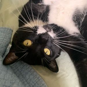 Meet your Posher, Lisbeth